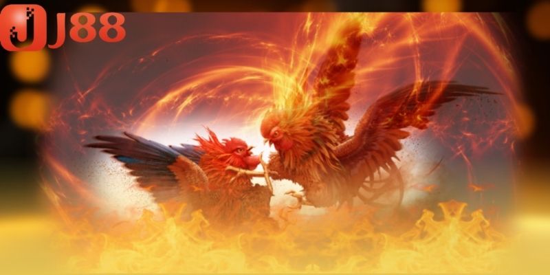 Cục diện có thể thay đổi liên tục dựa trên thể lực