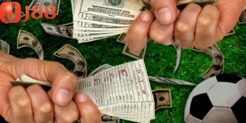 Sự đa dạng về bộ môn là yếu tố thu hút nhiều người